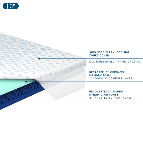 MOLECULE 3" Triple Zone PRO PressureRelieving Gel Memory Foam Mattress Topper, King & Reviews